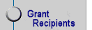 Link: Fahs-Beck Scholars